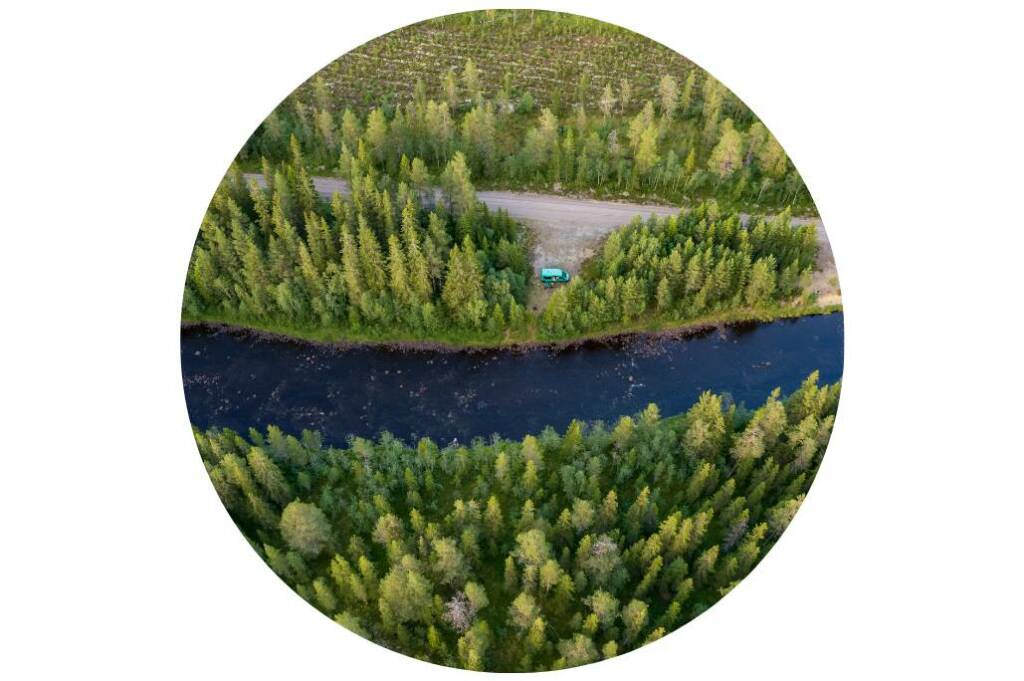 Van Challenger stationné au cœur de la forêt, symbole d’évasion et de van life proche de la nature.